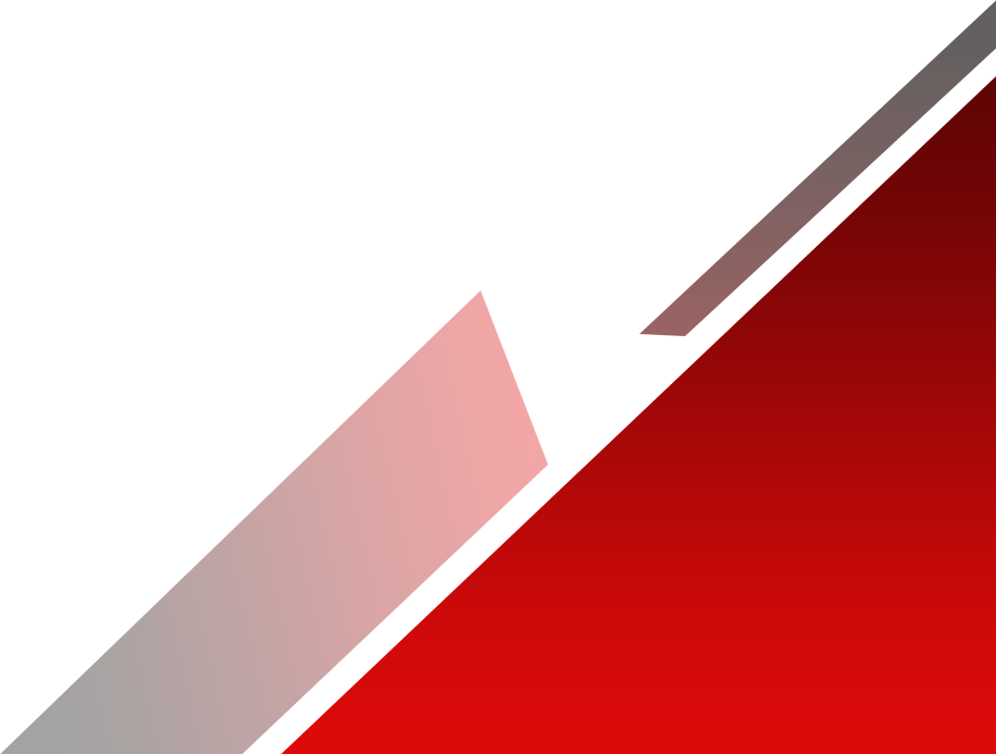 Bangladesh Consultant
