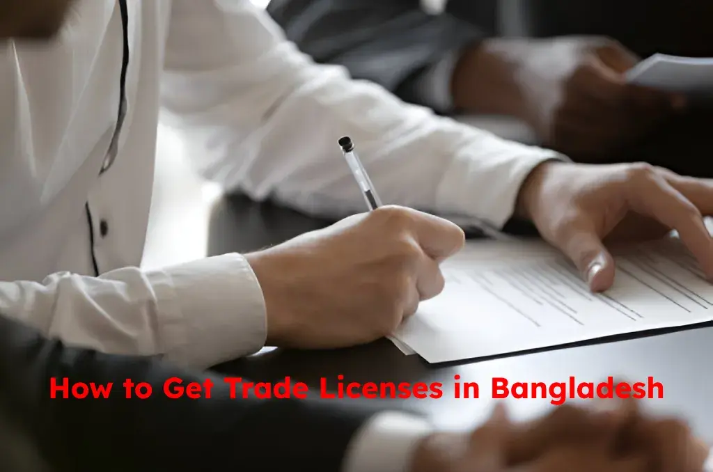 Bangladesh Consultant